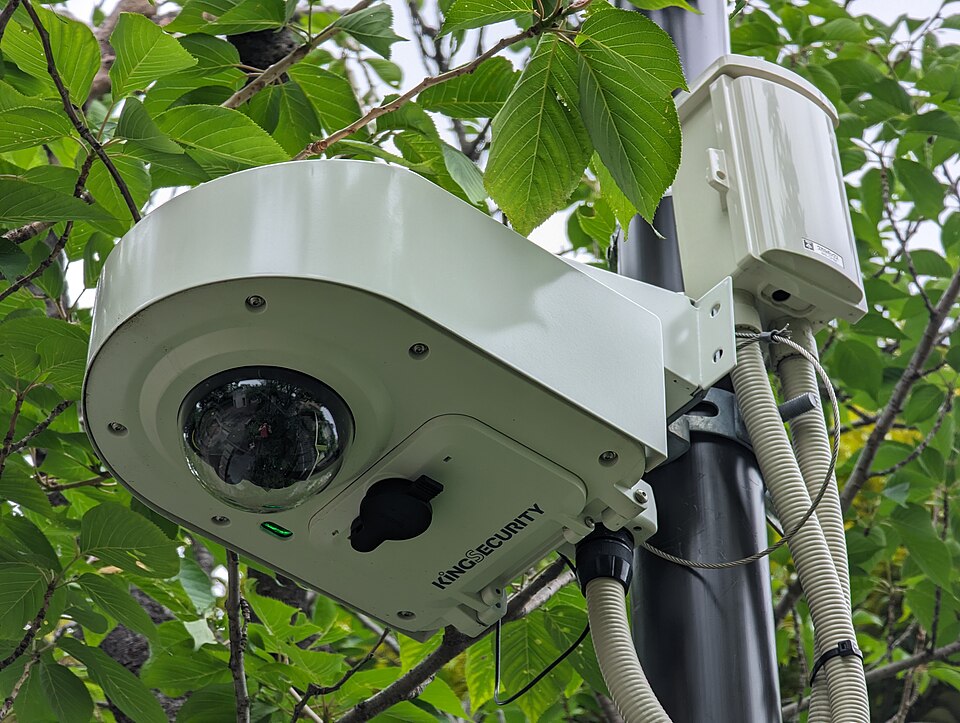 Security Services